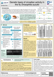 Genetic basis of circadian activity in the fly Drosophila suzukii