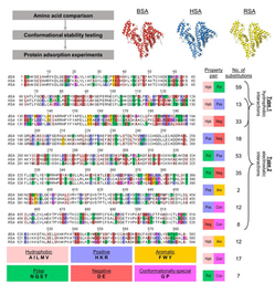What type of BSA protein should I use?


