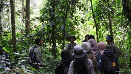 Donating our time and energy for the capacity building of young conservationists