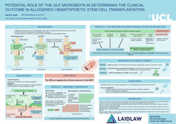 Potential role of the gut microbiota in determining the clinical outcome in allogeneic hematopoietic stem cell transplantation