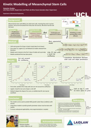 Kinetic Modelling of Mesenchymal Stem Cells