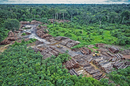 Impacts of a large-scale titling initiative on deforestation in the Brazilian Amazon