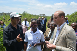 Defining stakeholder ratings and roles