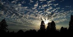 Research, COVID-19, other fantastic beasts and where to find them...