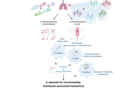 Integrative strategies to dissect and overcome membrane-associated resistance mechanisms: a spatial biology response to bacterial genius
