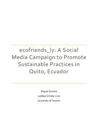 Leadership in Action - Report 