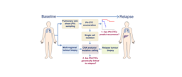 Circulating tumour cells in the pulmonary vein of early stage non small cell lung cancer patients: what do they tell us about risk of relapse after surgery and seeding of metastasis?  
