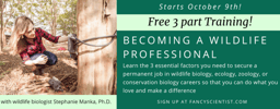 Laying the Foundations of a PAID Wildlife Career: Becoming a Wildlife Professional Training 1