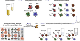 Ultrasensitive high-resolution profiling of early seroconversion in patients with COVID-19