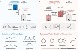 A Guideline for Discovery of Redox-Tunable Lewis Bases for Electrochemical Carbon Capture