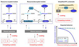Freeing genetic circuits from the messy cellular context