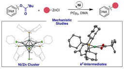 Unexpected Ni-Zn Interactions During The Negishi Cross-Coupling of Aryl Esters