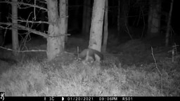 Talking of photography...