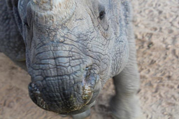 Leah W. - Evening session