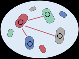 Plasmids: An Unexpected Journey