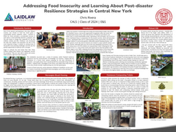 2021 Summer Research Poster