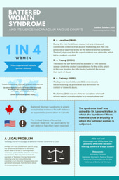 What the Law Owes Us: Leadership Project Infographic Poster