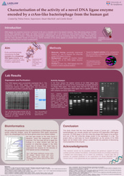 Reasearch Poster: A novel DNA ligase enzyme encoded by a crAss-like bacteriophage