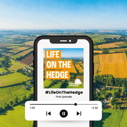 Life On The Hedge Podcast - The Tree Council