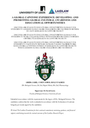 A Global Capstone Experience: Developing and Promoting Global Cultural Awareness and Educational Opportunties