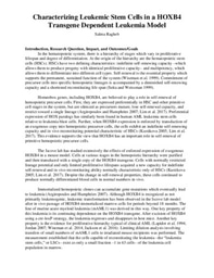 Characterizing Leukemic Stem Cells 