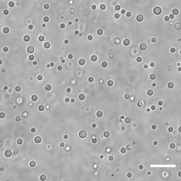 Origin of life: non-linear research path, for a non-linear phenomenon