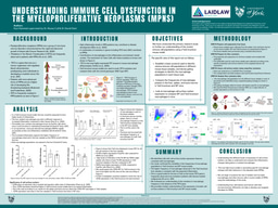 Summer 1 Research Poster 