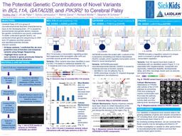 Summer 1 Poster: The Potential Genetic Contributions of Novel Gene Variants to Cerebral Palsy