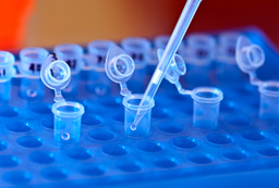 In their own words - Scientists speak about Life in Science