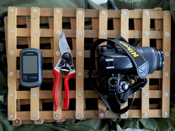 Field work and the absent parent