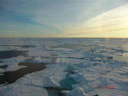 Why study sea ice?