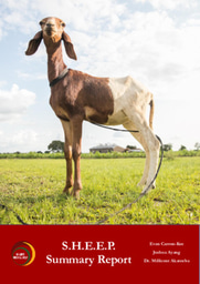 GMH S.H.E.E.P. Research Summary Report