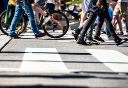 Research Project Findings Summary Poster