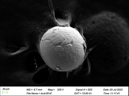 Summer 1 Blog post- An exploration of micrometeorites on the rooftops of Dublin