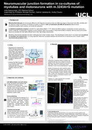 Julia Spaczynska_poster