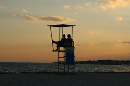 Learning, Language, Leadership