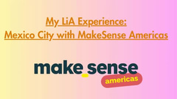 My LiA Experience Mexico City with MakeSense Americas