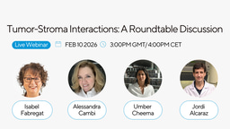 Upcoming FEBS Open Bio Webinar: Tumor-Stroma Interactions: A Roundtable Discussion