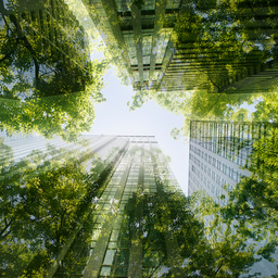 Top 100 in Sustainability | Scientific Reports