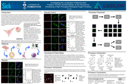 Summer I Research Poster