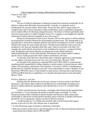 Summer I - Research Proposal