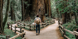 Why and how should you start learning bioinformatics?