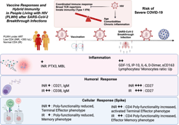 HIV & SARS-CoV-2 Hybrid Immunity