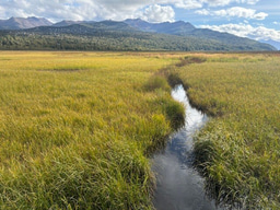 Centering Students in Learning About- and With- AI