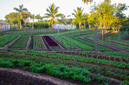 Blog Post 4 - Tying it all together! 