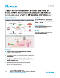Tissue microenvironment dictates the state of human iPSC-derived endothelial cells of distinct developmental origin in 3D cardiac microtissues
