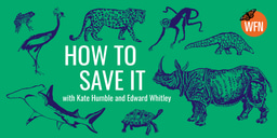 How to Save It: Season 2