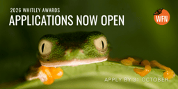 Apply for a 2026 Whitley Award