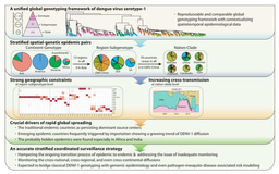 A unifed global genotyping framework  of dengue virus serotype-1 for a stratifed  coordinated surveillance strategy of dengue  epidemics