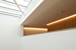 Laidlaw Scholars Ventures - Virtual Session